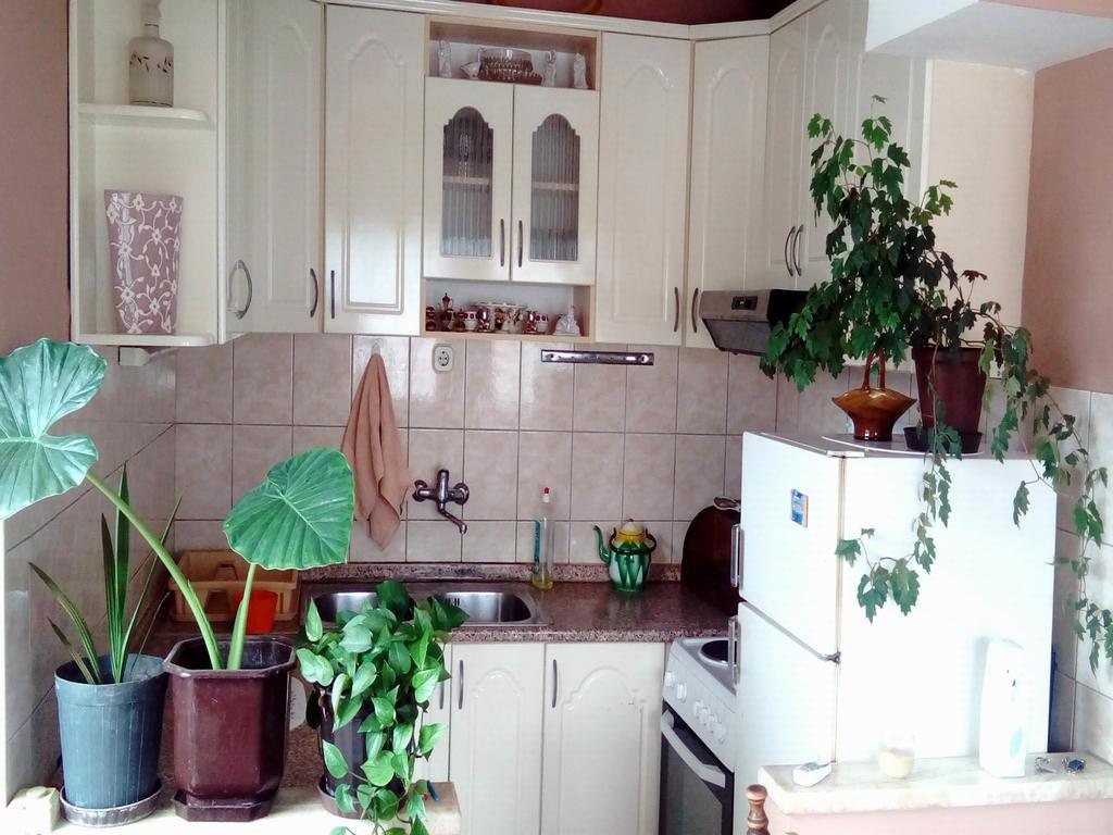 Apartment Luka Ohrid Habitación foto